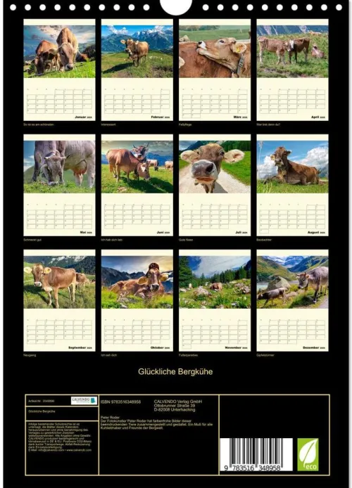 Calvendo Wandkalender*Glückliche Bergkühe (Wandkalender 2026 DIN A4 hoch), Monatskalender