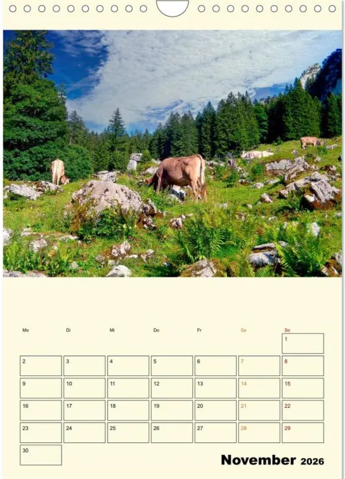 Calvendo Wandkalender*Glückliche Bergkühe (Wandkalender 2026 DIN A4 hoch), Monatskalender