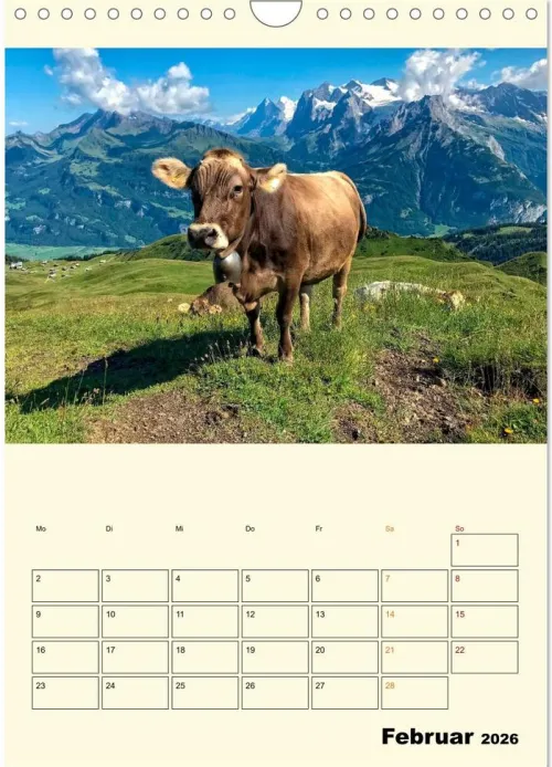 Calvendo Wandkalender*Glückliche Bergkühe (Wandkalender 2026 DIN A4 hoch), Monatskalender