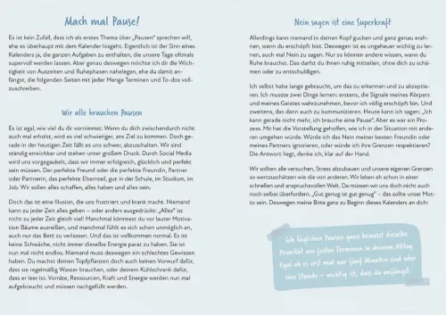 Gnu - Limitless Kalender*riva Verlag New