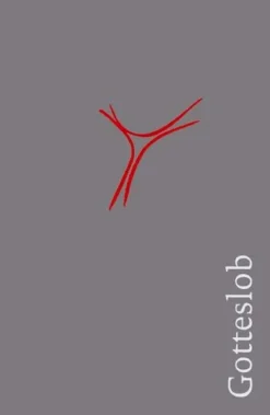 Echter Verlag GmbH Religion & Philosophie|Theologie*Gotteslob. Katholisches Gebet- und Gesangbuch. Großdruck Balacron grau - Diözese Würzburg