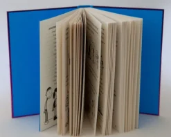 Kinder Baumhaus Verlag GmbH 10-12 Jahre-Gregs Tagebuch 13 - Eiskalt erwischt!