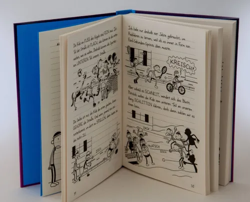 Kinder Baumhaus Verlag GmbH 10-12 Jahre-Gregs Tagebuch 13 - Eiskalt erwischt!