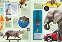 Ravensburger Verlag 6-10 Jahre*Guinness World Records - 2026