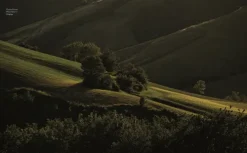 Dorling Kindersley Verlag Backen-Gutes Brot