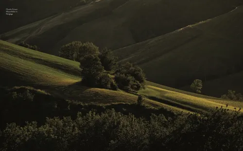 Dorling Kindersley Verlag Backen-Gutes Brot