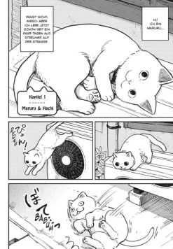 Carlsen Verlag GmbH Slice Of Life-Hachi & Maruru - Streuner halten zusammen! 1