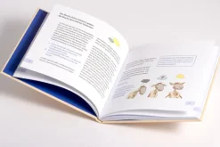 Halt! Das kleine Überlebensbuch*Kösel-Verlag Outlet