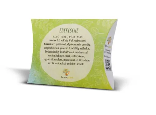 JOJO Achtsamkeit & Gesundheit*Handschmeichler Eberesche 45mm mit Baumhoroskop