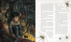 Harry Potter 1 und der Stein der Weisen. Schmuckausgabe*Carlsen Verlag GmbH Outlet