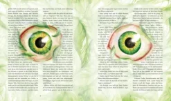 Harry Potter 2 und die Kammer des Schreckens. Schmuckausgabe*Carlsen Verlag GmbH Best