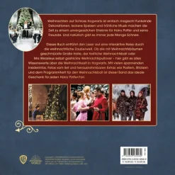 Harry Potter: Weihnachten in der Zauberwelt - Das Handbuch zu den Filmen*Panini Verlags GmbH Clearance