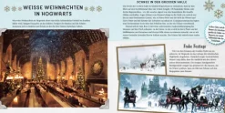 Harry Potter: Weihnachten in der Zauberwelt - Das Handbuch zu den Filmen*Panini Verlags GmbH Clearance