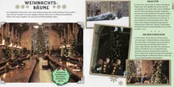 Harry Potter: Weihnachten in der Zauberwelt - Das Handbuch zu den Filmen*Panini Verlags GmbH Clearance