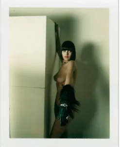 Taschen GmbH Künstler:Innen Im Fokus*Helmut Newton - Polaroids