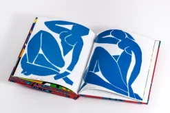 Prestel Verlag Künstler:Innen Im Fokus*Henri Matisse