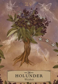 Königsfurt-Urania Spiritualität*Herbal Astrology Orakel: 55 Karten mit Botschaften und Anleitungen