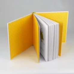 riva Verlag Nach Zielgruppen|Weisheiten-Herr Janosch, wie feiert man sich selbst?