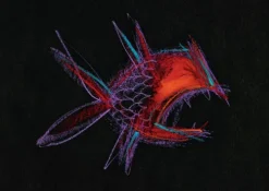 Heute bin ich. Kamishibai Bildkartenset*Don Bosco Medien GmbH Hot