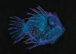 Heute bin ich. Kamishibai Bildkartenset*Don Bosco Medien GmbH Hot