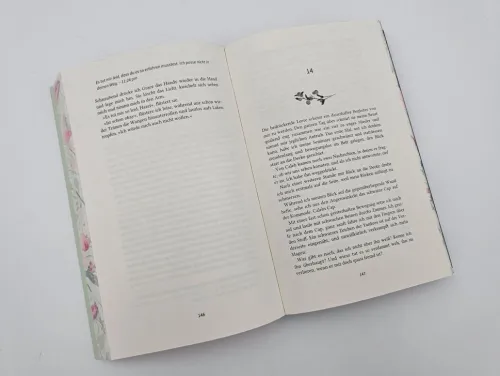 Hidden Scars*Piper Verlag GmbH