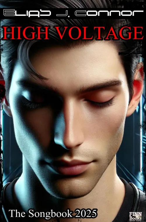 neobooks Gedichte & Drama-High Voltage - The Songbook 2025