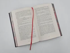 Piper Verlag GmbH Dark Romance*Hooked (Sonderausgabe)