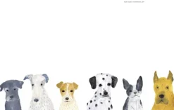 Hunde in der Kunst*DuMont Buchverlag GmbH Clearance