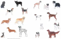 Hunde in der Kunst*DuMont Buchverlag GmbH Clearance