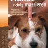 Hunde richtig massieren*Cadmos Verlag Outlet