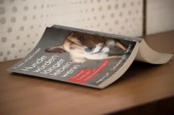 MVG Moderne Vlgs. Ges. Medizin-Hunde würden länger leben, wenn ...