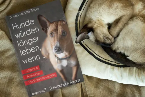 MVG Moderne Vlgs. Ges. Medizin-Hunde würden länger leben, wenn ...