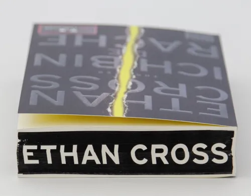 Lübbe Spionagethriller*Ich bin die Rache