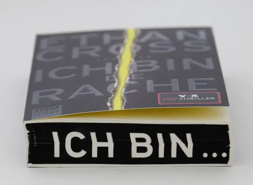 Lübbe Spionagethriller*Ich bin die Rache