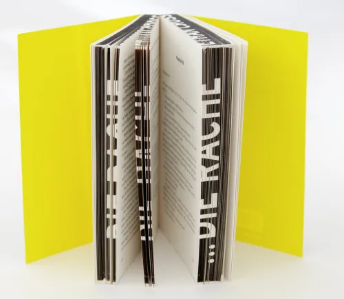 Lübbe Spionagethriller*Ich bin die Rache