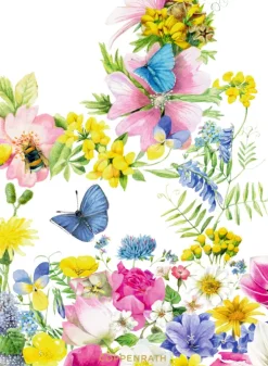 Coppenrath Glück & Wünsche*Ich wünsch dir Gesundheit, Glück und Frohsinn