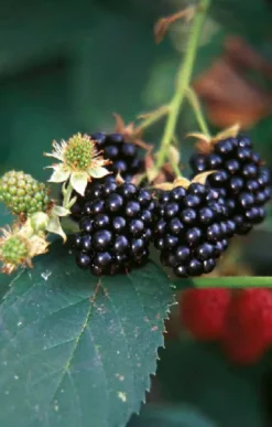 Don Bosco Medien GmbH Glück & Wünsche-Ich wünsche dir Zeit