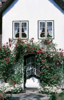 Don Bosco Medien GmbH Glück & Wünsche-Ich wünsche dir Zeit