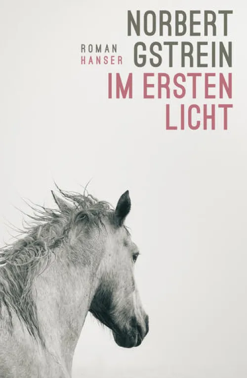Carl Hanser Verlag Literatur|Biografische Romane-Im ersten Licht