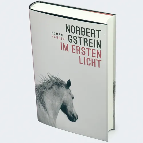 Carl Hanser Verlag Literatur|Biografische Romane-Im ersten Licht