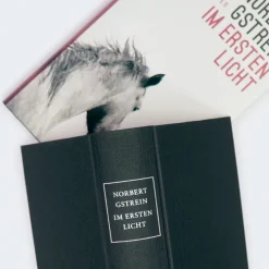 Carl Hanser Verlag Literatur|Biografische Romane-Im ersten Licht