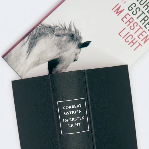 Carl Hanser Verlag Literatur|Biografische Romane-Im ersten Licht