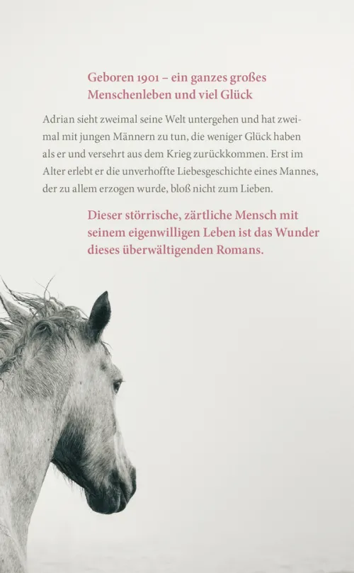 Carl Hanser Verlag Literatur|Biografische Romane-Im ersten Licht