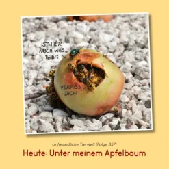 Lappan Verlag Cartoons*Im Garten!