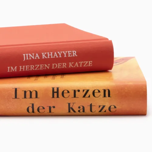 Im Herzen der Katze*Suhrkamp Verlag