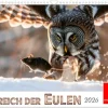Im Reich der Eulen (Wandkalender 2026 DIN A3 quer), Monatskalender*Calvendo Discount