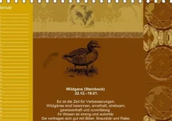 Calvendo Immerwährender Kalender*Indianisches Horoskop / Geburtstagskalender (Tischkalender immerwährend DIN A5 quer)