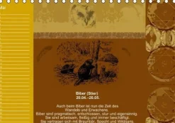 Calvendo Immerwährender Kalender*Indianisches Horoskop / Geburtstagskalender (Tischkalender immerwährend DIN A5 quer)