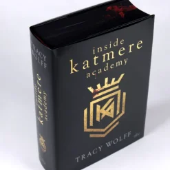 dtv Verlagsgesellschaft Young Adult-Inside Katmere Academy