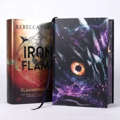 dtv Verlagsgesellschaft Romantasy|Romantasy*Iron Flame - Flammengeküsst